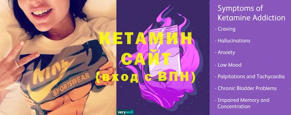 индика Пестово