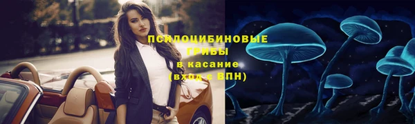 спиды Алзамай