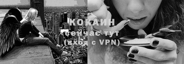 спиды Алзамай
