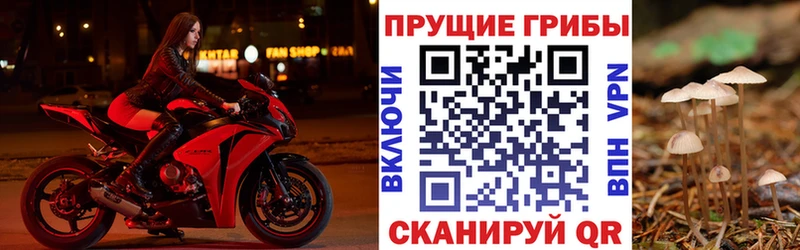 Псилоцибиновые грибы мухоморы  Рыбное 
